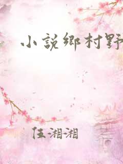 小说乡村野医