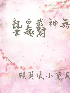龙皇武神无弹窗笔趣阁