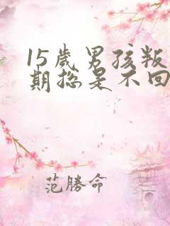 15岁男孩叛逆期总是不回家怎么办