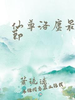仙尊洛尘最新章节