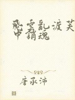 飞云乱渡芙蓉帐中销魂