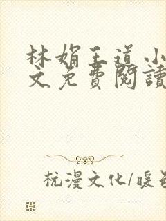 林娟王道小说全文免费阅读