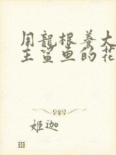 用龙根养大的公主鲨鱼的花