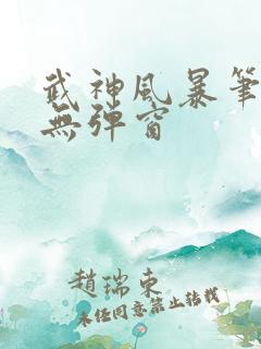 武神风暴笔趣阁无弹窗