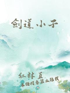 剑道小子