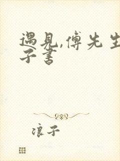 遇见,傅先生电子书