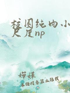 校园纯肉小说大尺度np