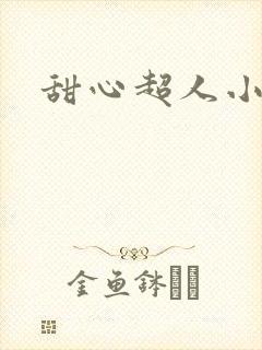 甜心超人小说