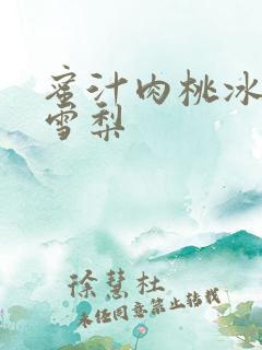 蜜汁肉桃冰糖炖雪梨