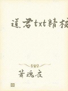 道君txt精校