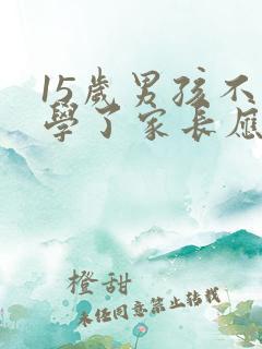 15岁男孩不上学了家长应该怎么办