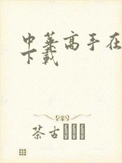 中华高手在异世下载