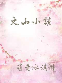 文山小说