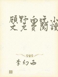 顾野向晚小说全文免费阅读