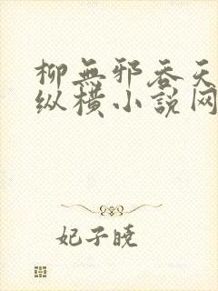 柳无邪吞天神鼎纵横小说网