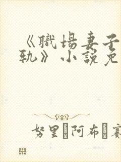 《职场妻子的出轨》小说免费阅读