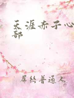 天涯赤子心第二部