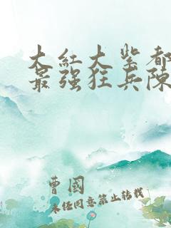 大红大紫都市之最强狂兵陈