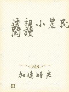 透视小农民免费阅读