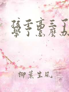 孩子高三了不上学了怎么办
