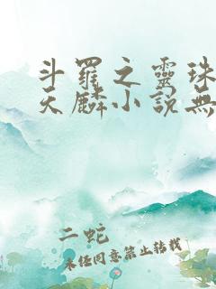斗罗之灵珠神剑天麟小说无弹窗