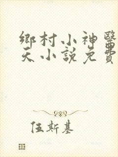 乡村小神医林小天小说免费阅读