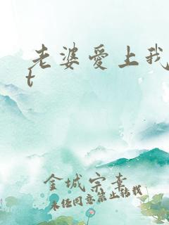 老婆爱上我txt