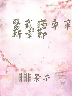 医武独尊宁天最新章节
