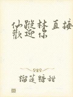 仙踪林直接入口欢迎你