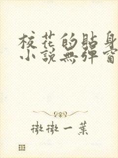 校花的贴身高手小说无弹窗无广告