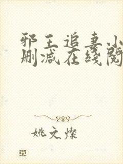 邪王追妻小说无删减在线阅读