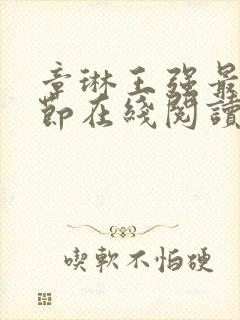 章琳王强最新章节在线阅读