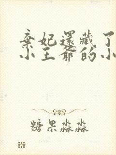 弃妃还藏了3个小王爷的小说