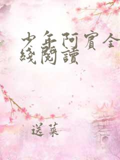 少年阿宾全本在线阅读