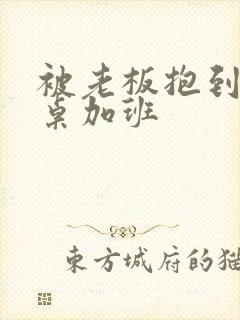 被老板抱到办公桌加班