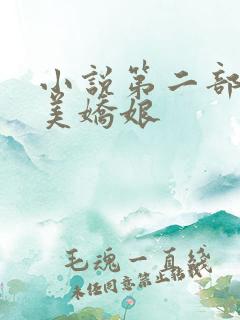 小说第二部山村美娇娘