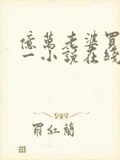 亿万老婆买一送一小说在线