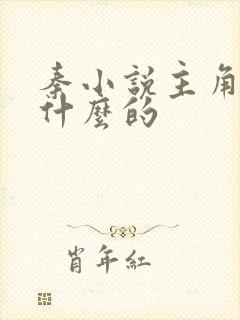 秦小说主角叫秦什么的