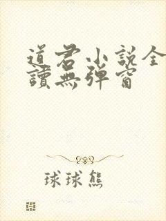 道君小说全文阅读无弹窗
