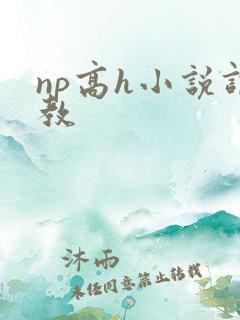 np高h小说调教