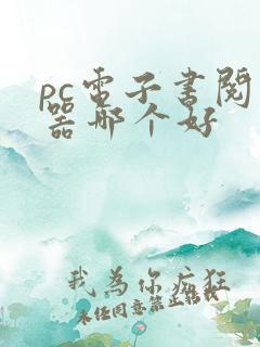 pc电子书阅读器哪个好