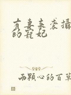 有妻来袭摄政王的宠妃