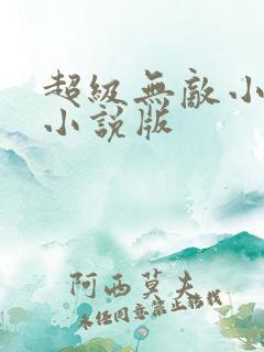 超级无敌小医仙小说版