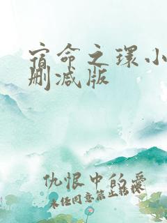 宿命之环小说未删减版