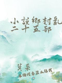 小说乡村乱情第二十五部