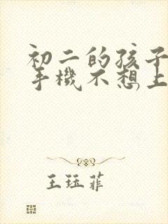初二的孩子迷恋手机不想上学怎么办