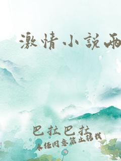 激情小说两性