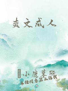 爽文成人
