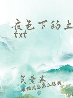 夜色下的上海滩 txt