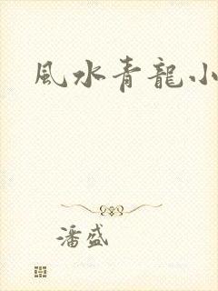 风水青龙小说
